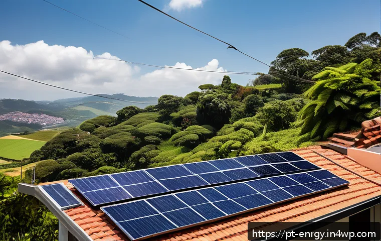 분산형 에너지 시스템의 미래를 위한 정부 정책 - A modern Brazilian residential rooftop covered with sleek solar photovoltaic panels under a bright s...